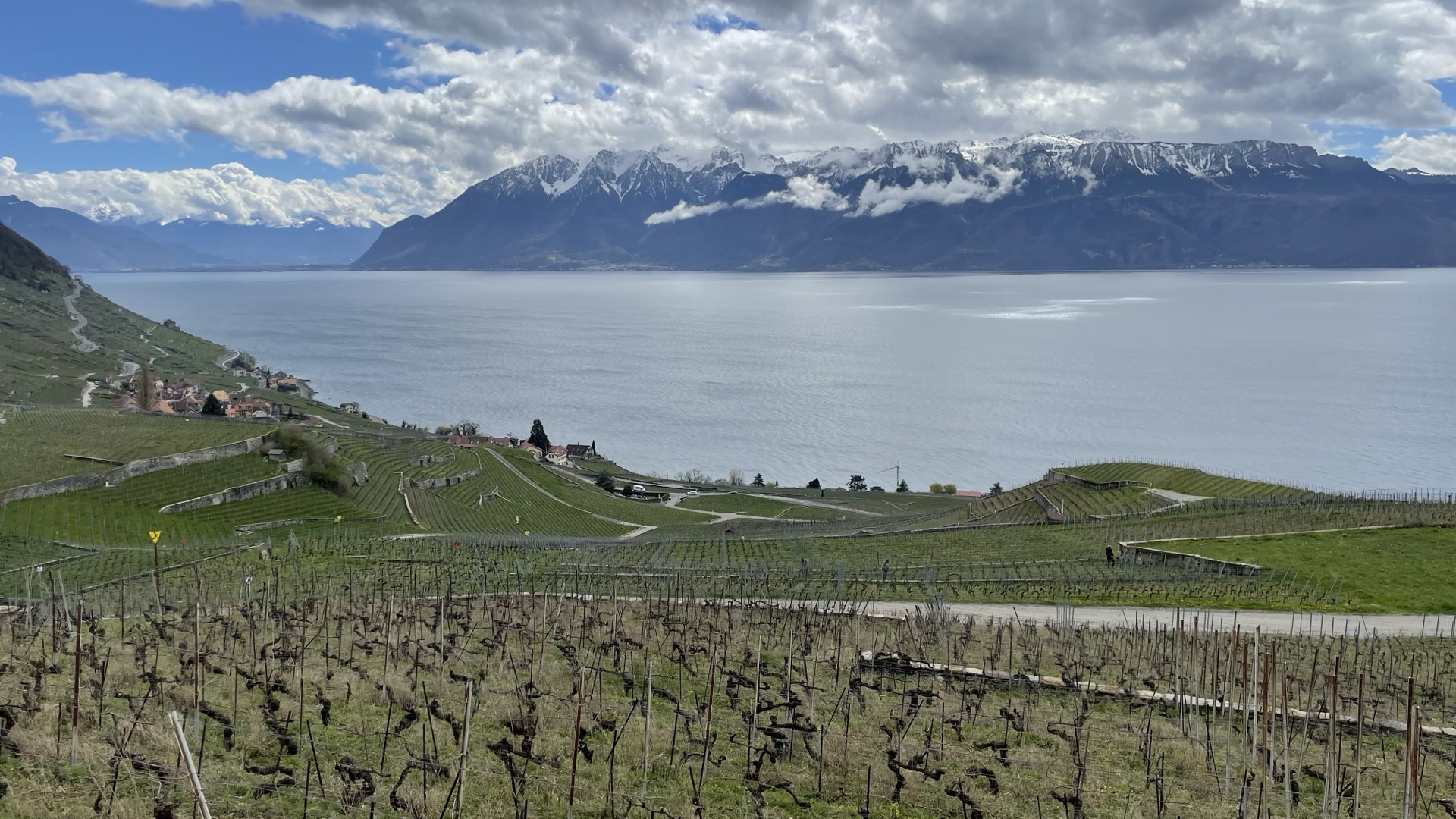 Vignobles de Lavaux, Lac Léman et Alpes enneigées